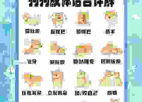 狗带是什么意思？ 简单易懂的科普解释来了！