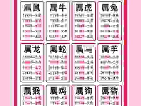 高风玉骨的生肖你知道吗？了解一下这些生肖的独特魅力！