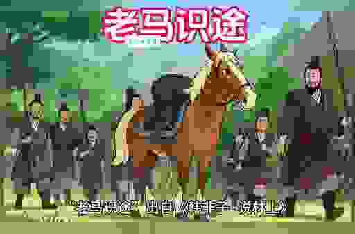 老马识途是什么生肖？了解生肖文化从这里开始！