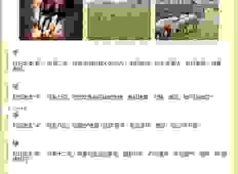 占山为王对应什么生肖？新手也能看懂的解释！