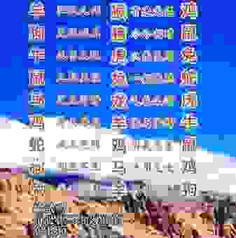 雪泥鸿爪打一最准生肖原来是它！看完惊呆了！