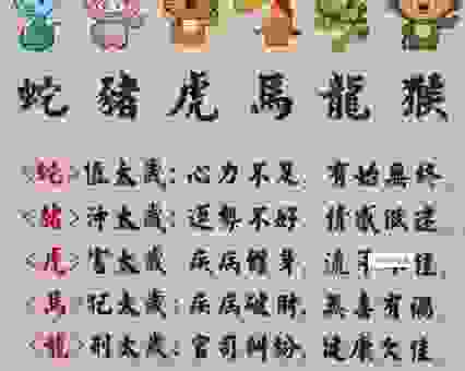 鱼目混珠是什么生肖？这些生肖特征很容易混淆！
