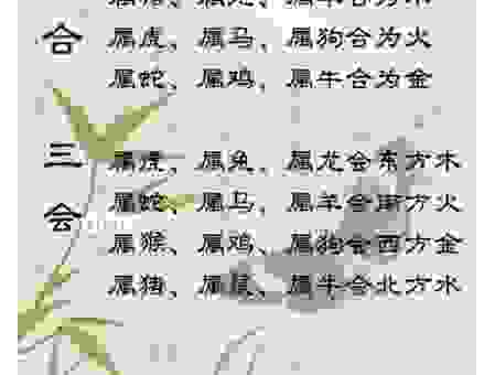 八方风雨是什么生肖？这几个方法让你一眼看穿！