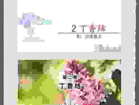 尘土纷嚣是什么意思?简单易懂的解释让你明白