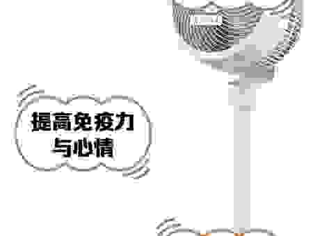 离子风扇对人体有害吗？专家告诉你真相！