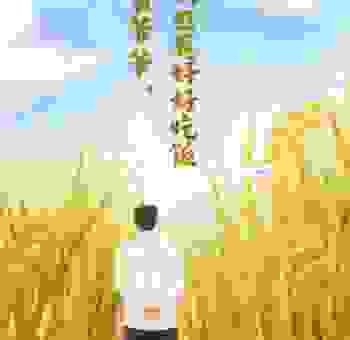 禾下乘凉下一句怎么说？简单明了的答案来了！