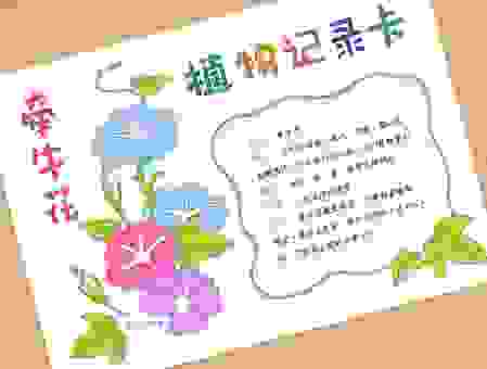 花花卡是什么？为什么大家都推荐它？秘密揭晓！