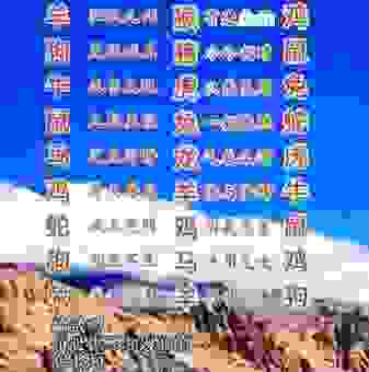 前功尽弃是指哪个生肖?答案可能让你大吃一惊