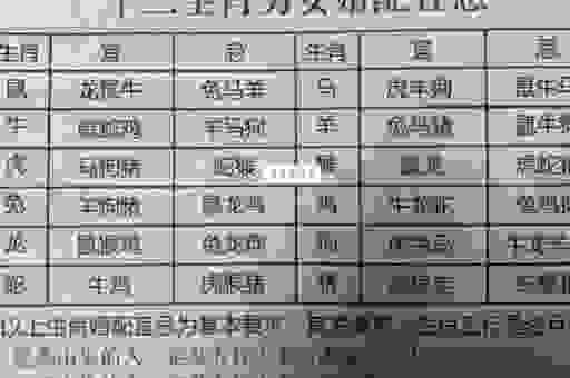 替天行道是什么生肖？揭秘这个神秘的生肖！