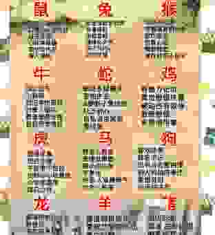 大家闺秀是什么生肖？看完你就明白这些生肖的特点！