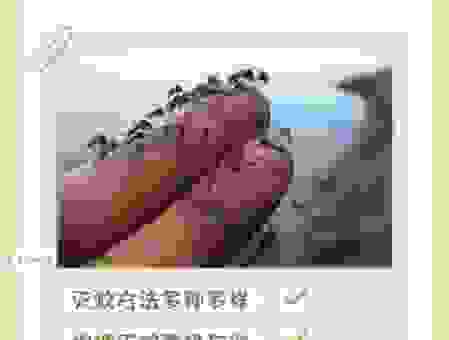灭蚊子最有效的方法推荐，这几种方法效果惊人！