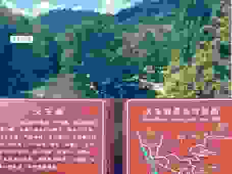 武夷山是哪里？探秘福建这片神秘的旅游胜地