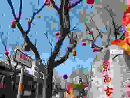 西京是哪里？本地人告诉你必去景点