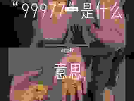 99977代表什么意思?这些数字信息你了解吗?