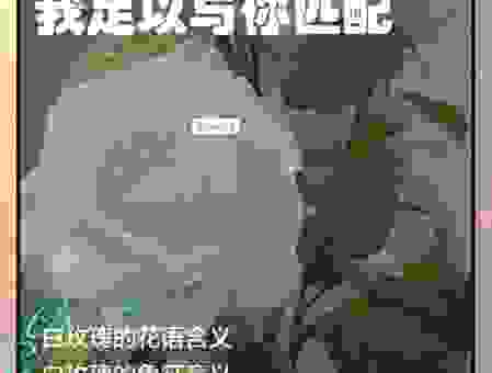 marry me什么意思？这句求婚语的背后含义太浪漫了！