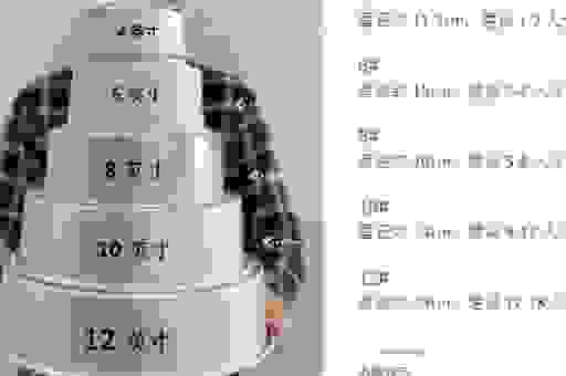 六寸蛋糕有多大？看图就明白尺寸大小！