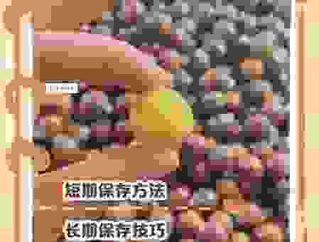 新手必看:板栗煮多长时间才能煮熟又甘甜?