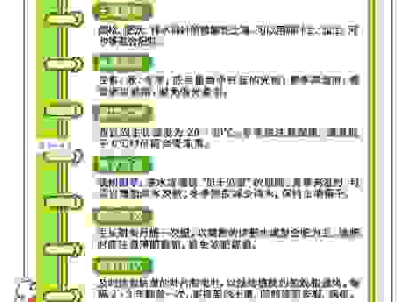 二茂铁的作用大揭秘!了解它的神奇功能和应用场景。