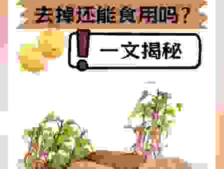 芋艿发芽了怎么办?别扔!这样做还能吃