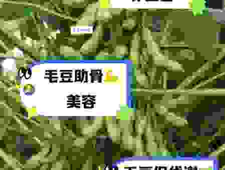 毛豆煮多久才能熟？老妈教我这个小妙招